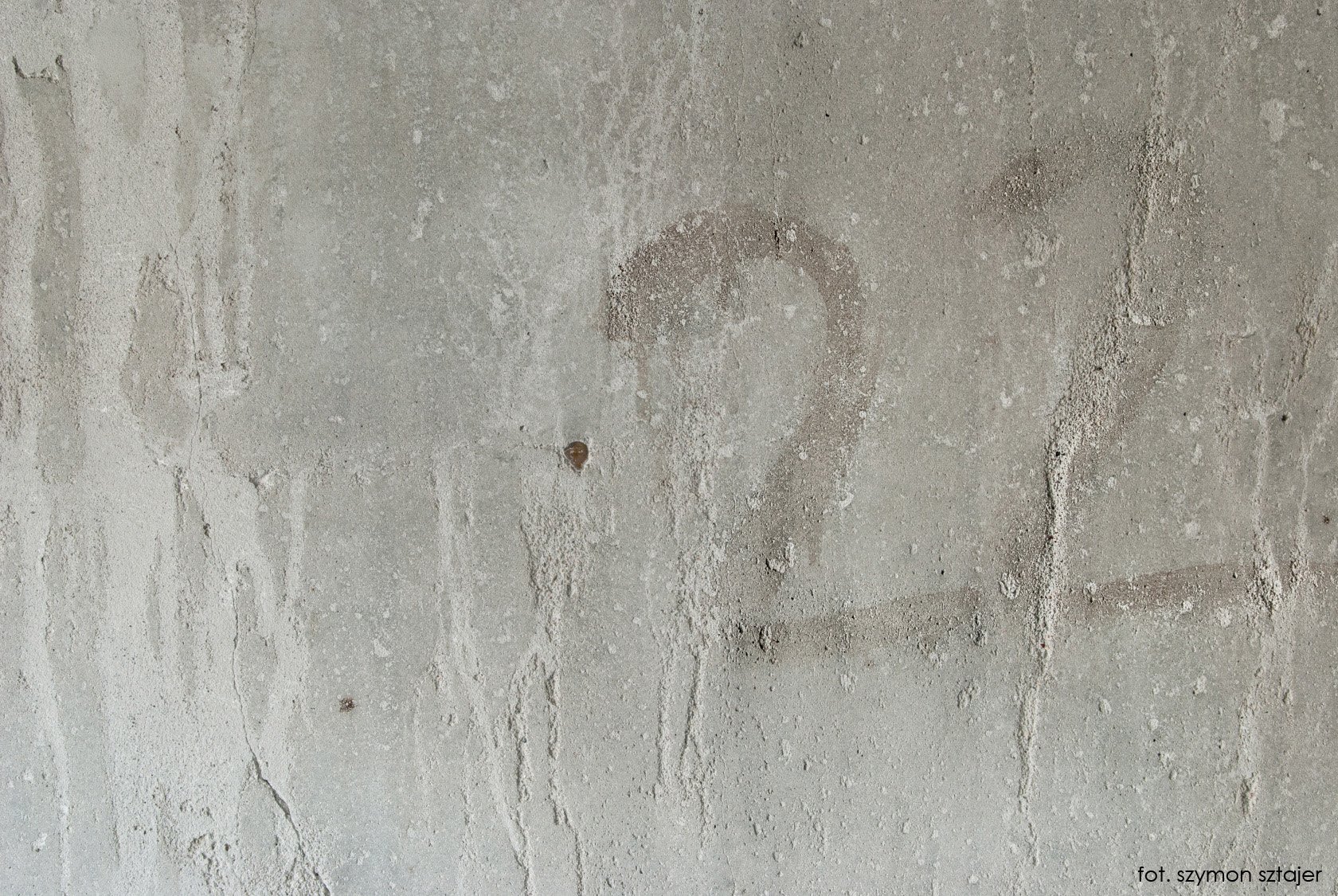 Aliquam sapien nisl, blandit non nunc at, efficitur vestibulum enim. Quisque mauris lectus, vehicula a venenatis sollicitudin, pharetra sed massa. Aliquam porttitor neque a elementum aliquet. Vestibulum ante ipsum primis in faucibus orci luctus et ultrices posuere cubilia Curae; Sed non interdum massa. Etiam vestibulum porta tellus sit amet ullamcorper. Integer iaculis iaculis tellus sit amet aliquam. Praesent tincidunt iaculis suscipit. Fusce eu interdum augue. Cras suscipit nisl vel egestas hendrerit. 